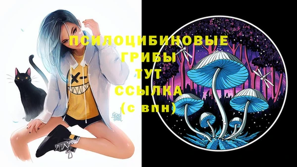 скорость Алексин