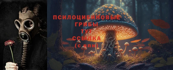 стаф Алексеевка
