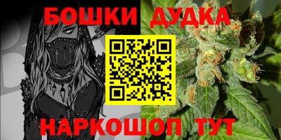 шишки Канаш