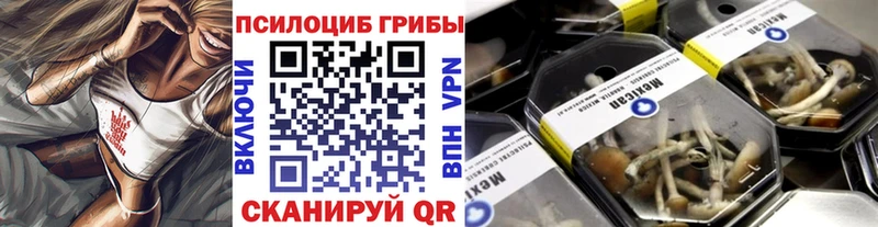 Псилоцибиновые грибы Cubensis  Лабытнанги 