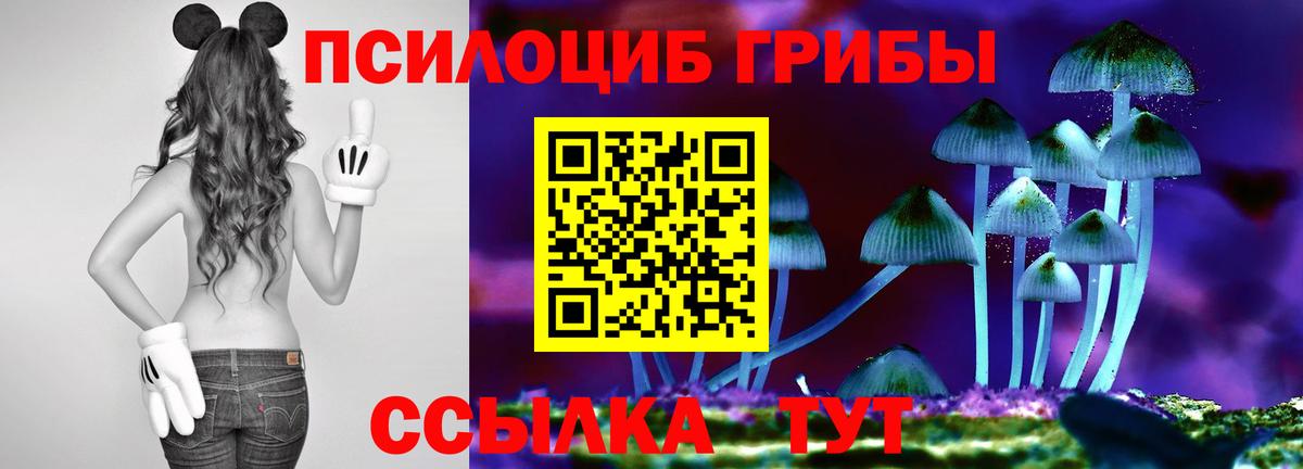 Псилоцибиновые грибы GOLDEN TEACHER Лабытнанги